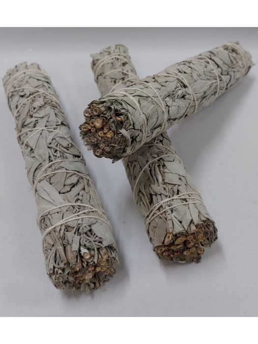 Atado Salvia Blanca 9" 22-23cm